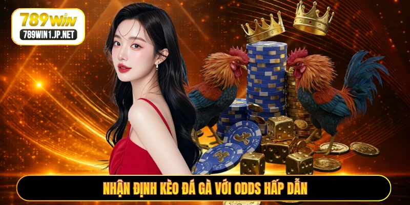 Nhận định kèo đá gà với odds hấp dẫn